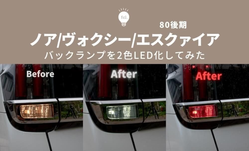 noah_2color_reverselight01.jpg