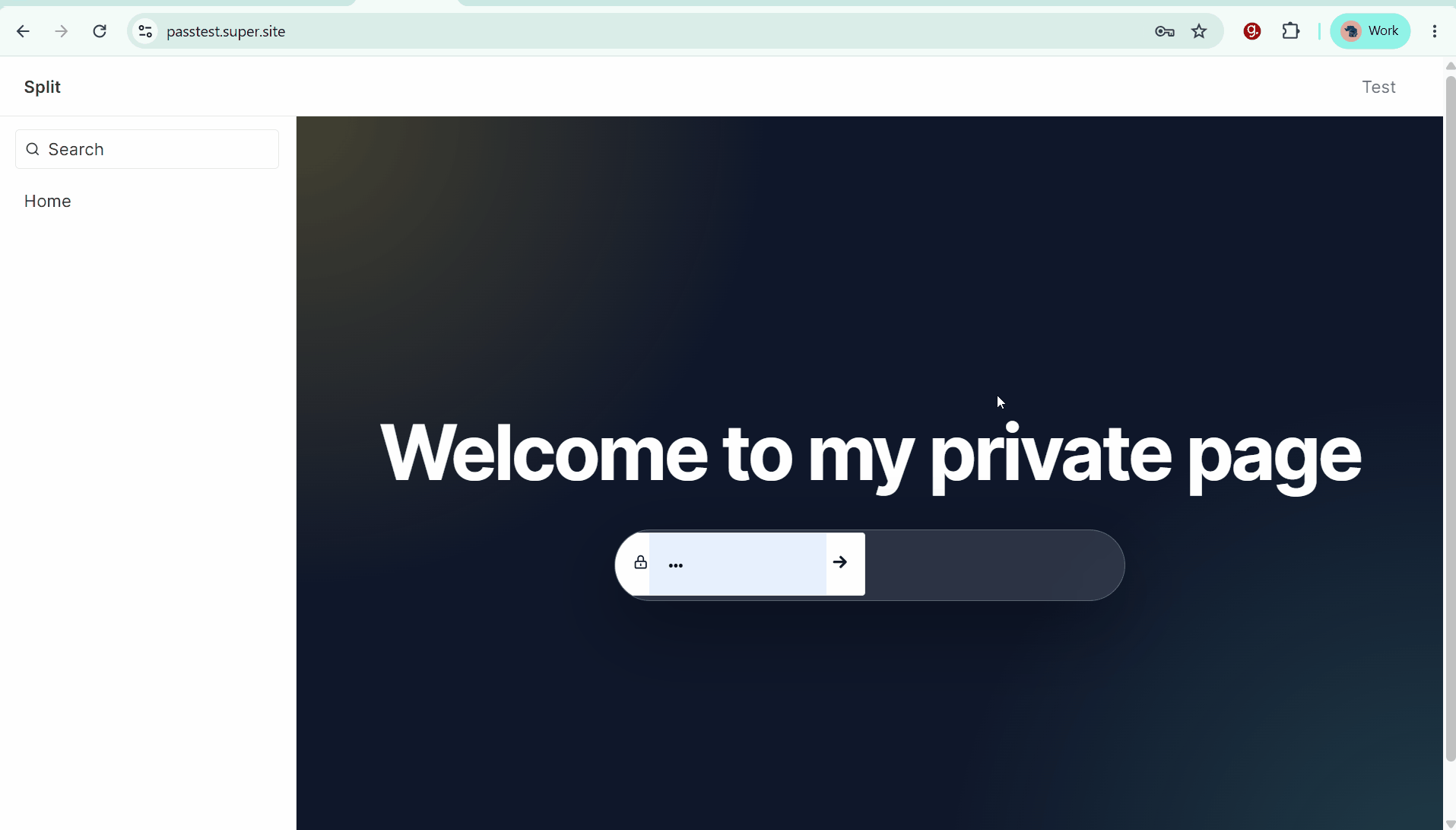 Custom password page