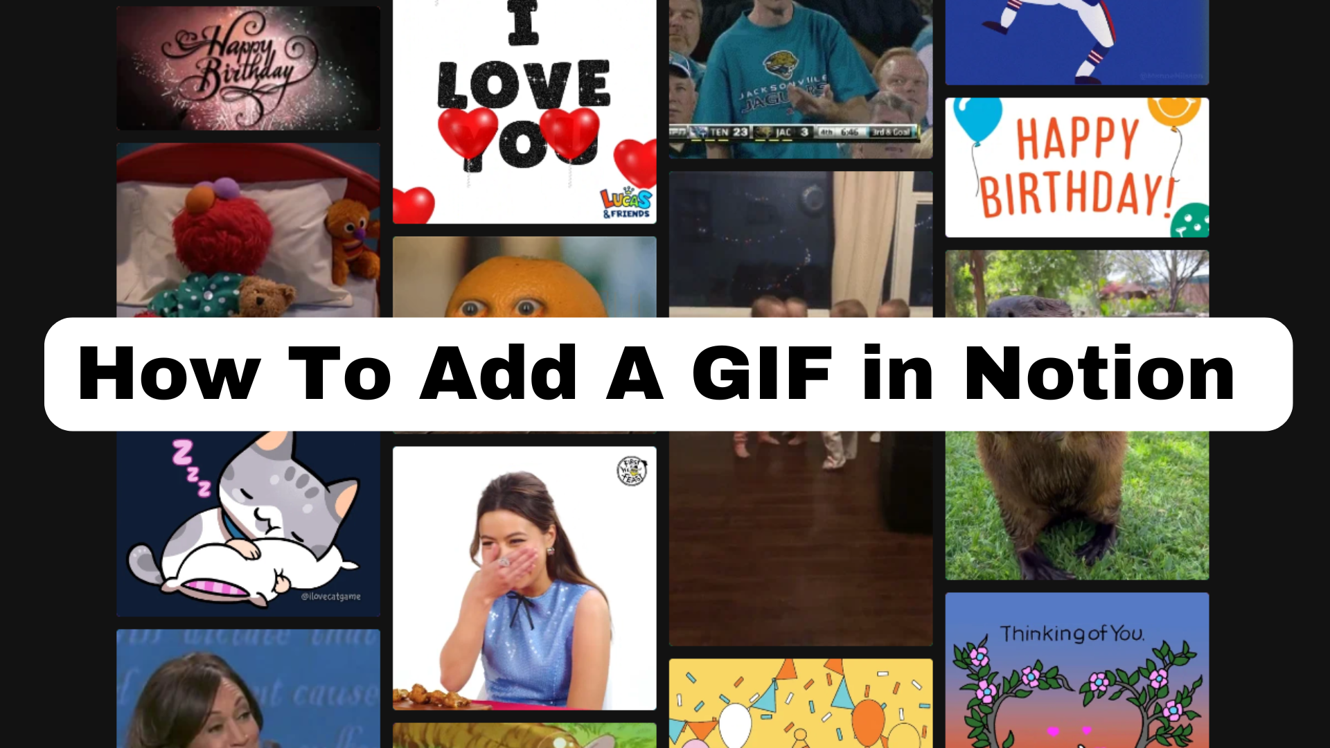 How To Add A GIF in Notion (2026)