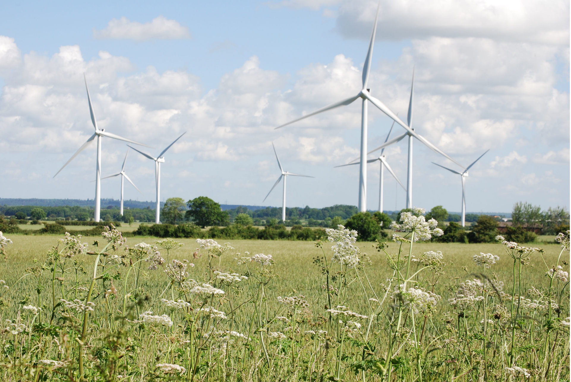 Step-by-Step Guide to Running a Successful Optimisation Project