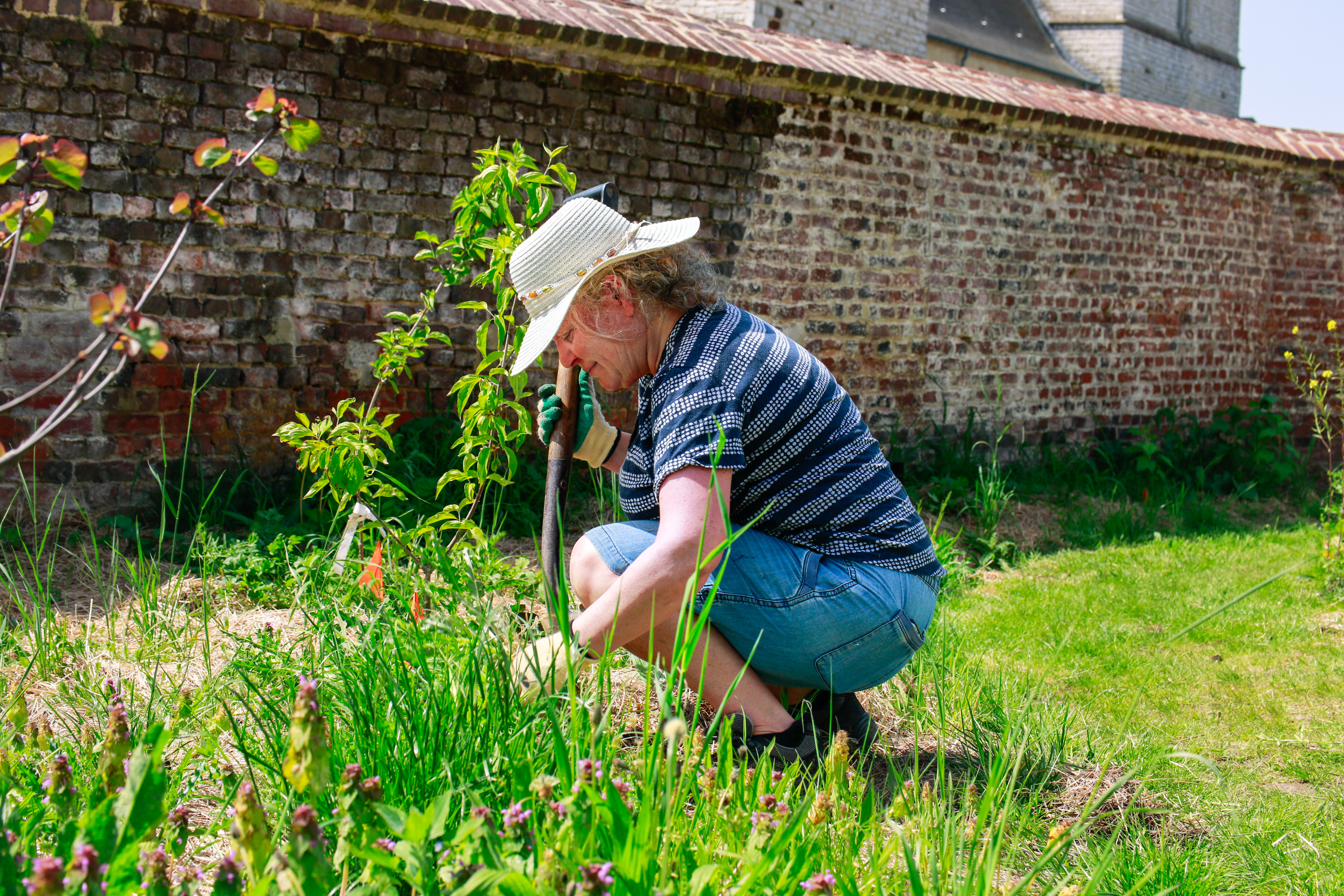 Le jardin-forêt nourricier de Tourinnes-la-Grosse — photo 6
