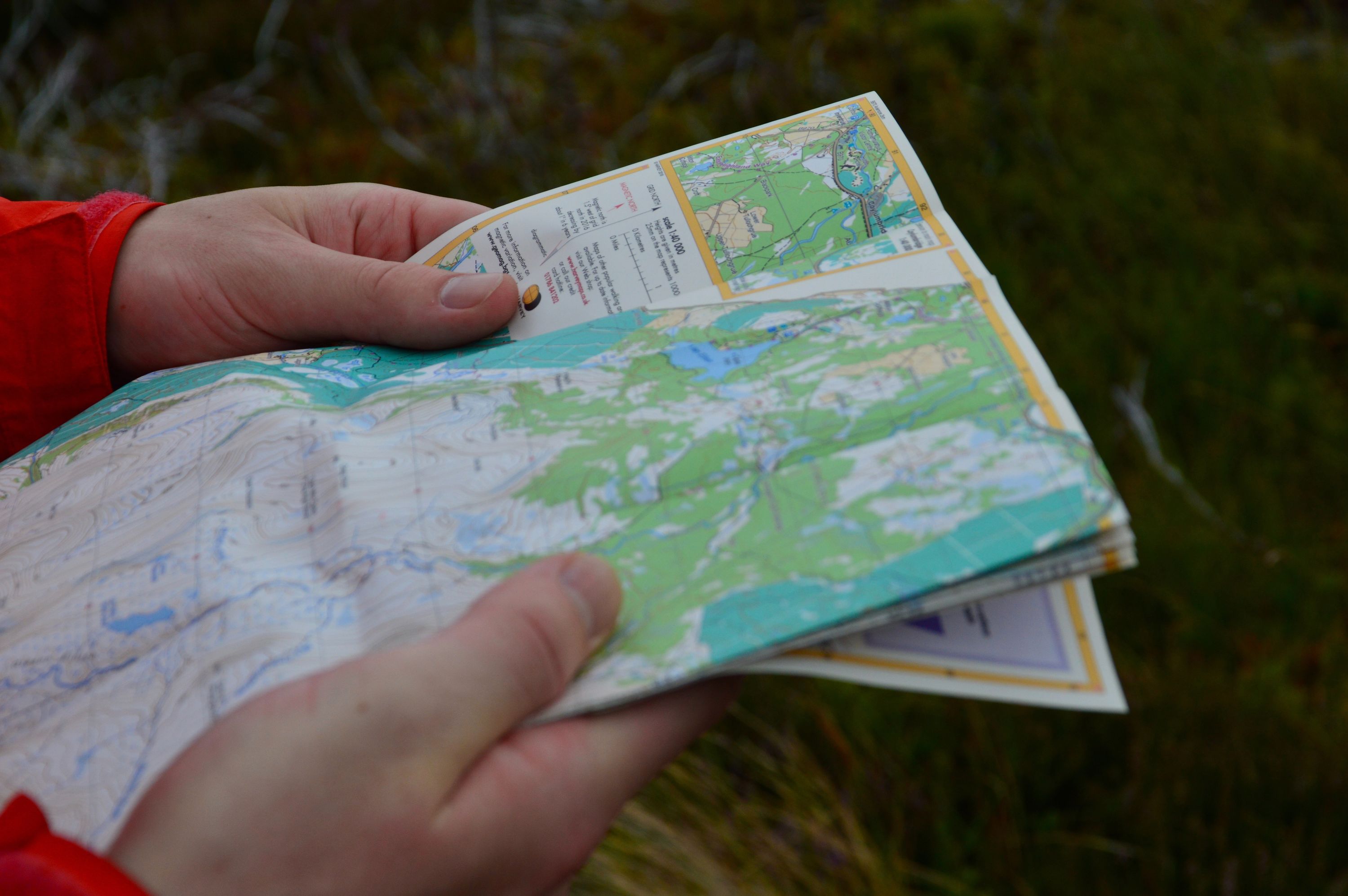 Undervisning i orientering