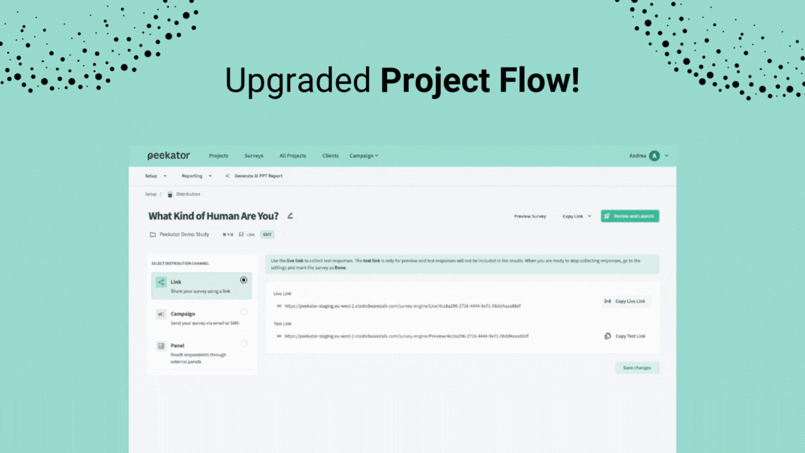 New upgraded Project Flow!