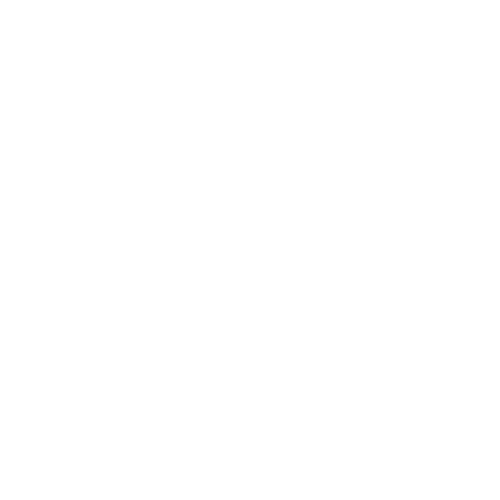 tyler.super.site favicon