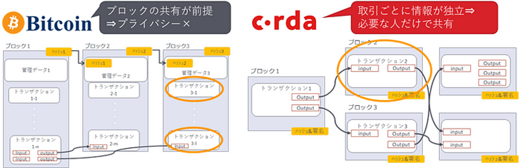 Cordaデータモデルの特徴