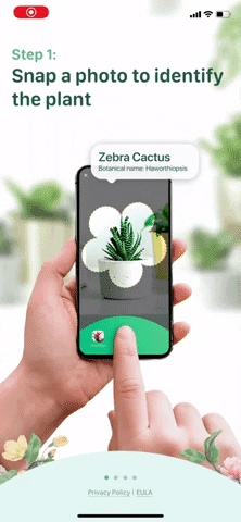 HD available on Youtube